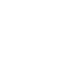 New Business Development Agency in Sri Lanka